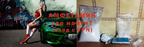 сатива Кукмор