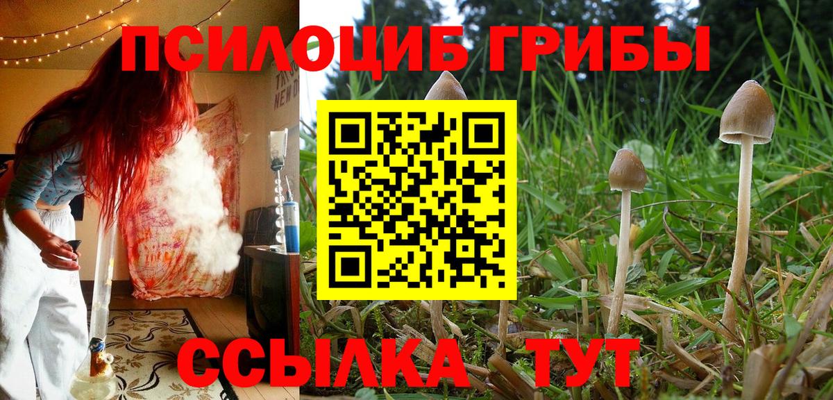 Кунгур  Псилоцибиновые грибы GOLDEN TEACHER  Вход с VPN  Псилоцибиновые грибы мухоморы 